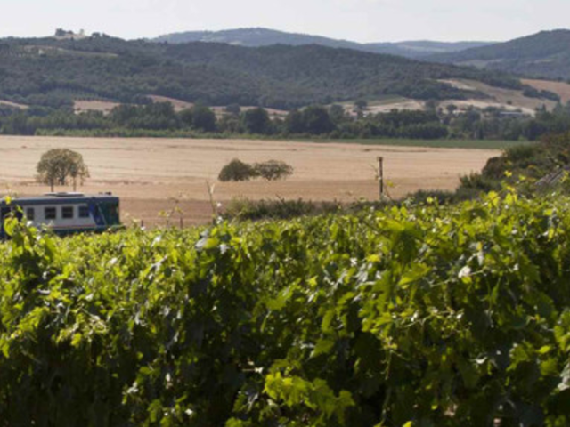 ANTINORI - Pian delle Vigne - Raffin Vini Toscana 