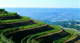 Umbria / Ombrie - Vins Italien Raffin Vini