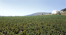 Sardegna / Sardaigne - Vins Italien - Raffin Vini