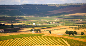 Sicilia / Sicile - Vins Italien - Raffin Vini