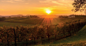 Veneto / Vénétie - Vins Italien Raffin Vini