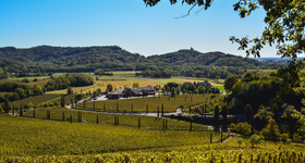 PANORAMA JERMANN CANTINE COLLIO ISONZO FRIULI VENEZIA GIULIA