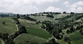 Emilia-Romagna / Emilie-Romagne - Vin Italien - Raffin Vini