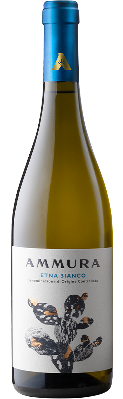 Ammura Etna Bianco DOC - Raffin Vini