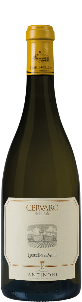 cervaro