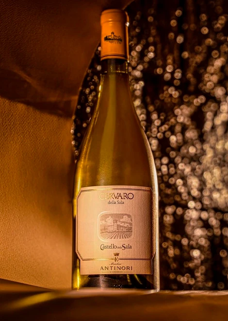Une bouteille de vin - Raffin Vini